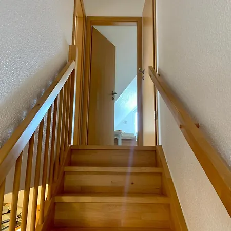 Ostseerose 青斯特