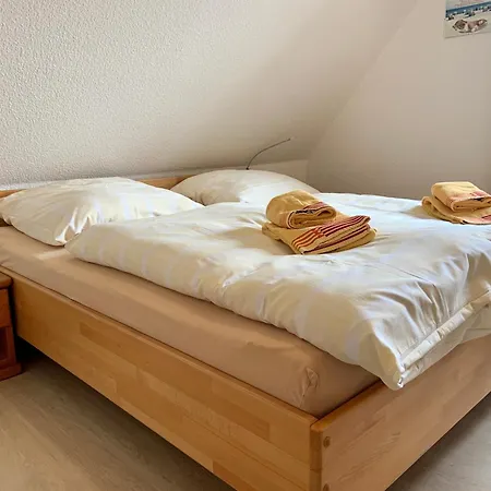 Ostseerose ツィングシュト